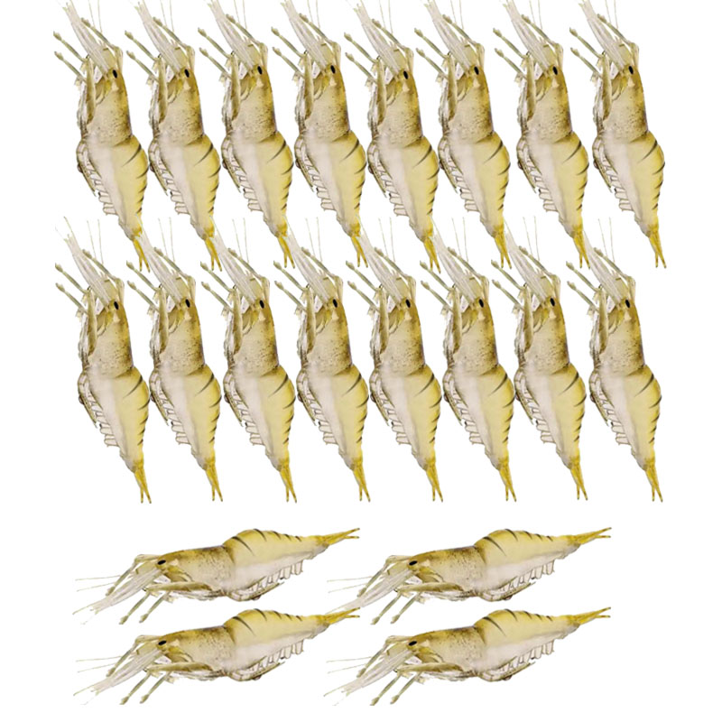 Krill Oil Supplement - WEIHE 20PCS Isca Artificial Soft Shrimp