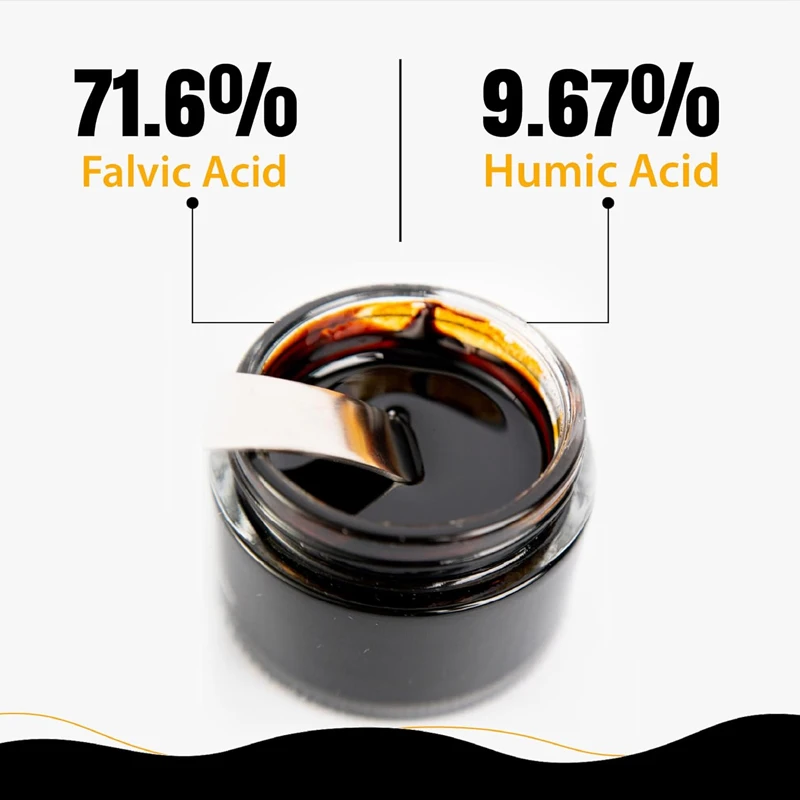 Pure Himalayan Shilajit Resin, - Shilajit Resin Pure 评论和价格