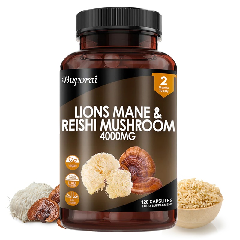 Lions Mane & Reishi Mushroom 4 - Lion Mane Mushroom 评论和价格