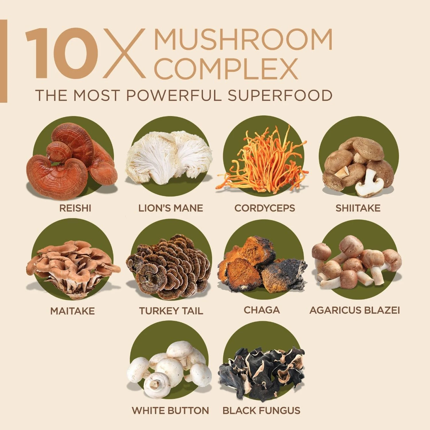 10x Mushroom Complex Capsules  - Lion Mane Mushroom 评论和价格