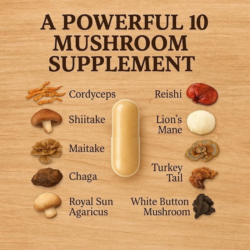 Mushroom Compound Supplement 1 - Lion Mane Mushroom 评论和价格