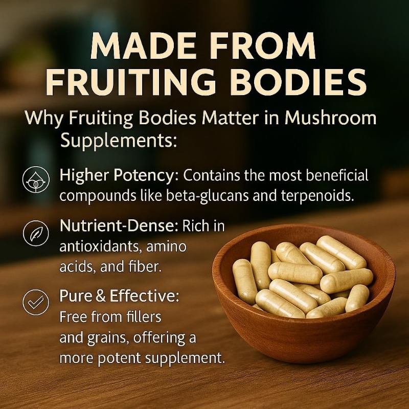 Mushroom Compound Supplement 1 - Lion Mane Mushroom 评论和价格