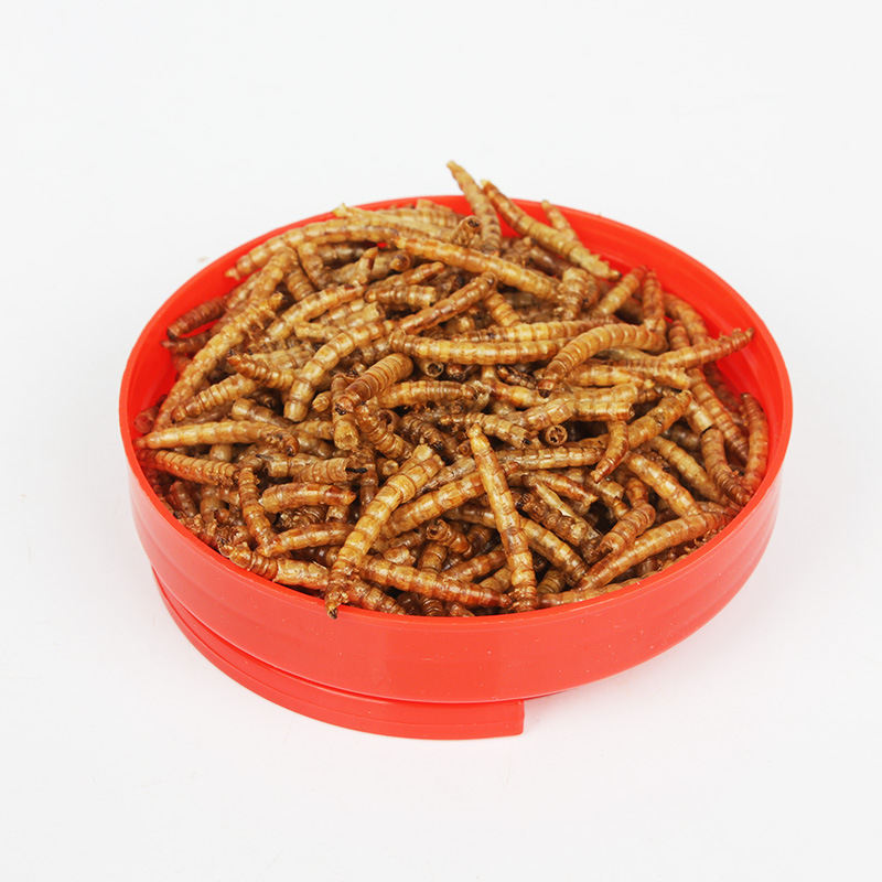 SW Multi-Pet Insect Treats - D - Krill Oil Supplement 评论和价格