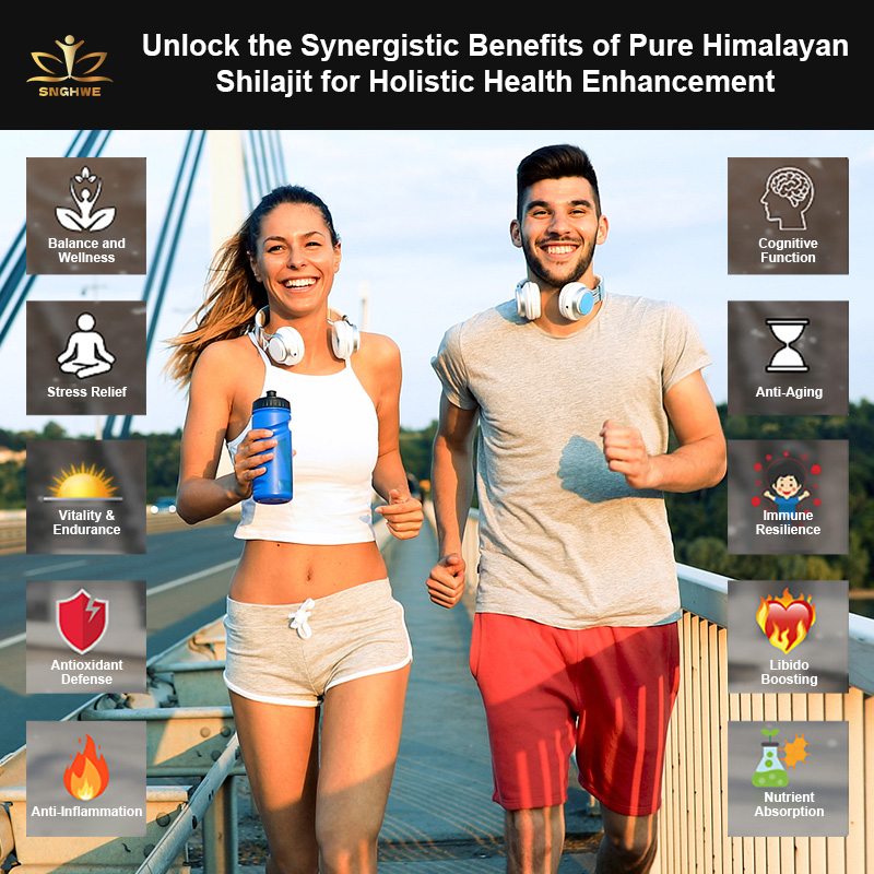 Himalaya Shilajit Capsule Orig - Shilajit Resin Pure 评论和价格