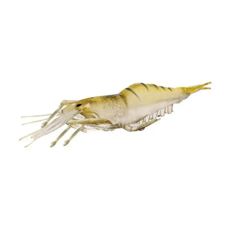 WEIHE 20PCS Isca Artificial So - Krill Oil Supplement 评论和价格