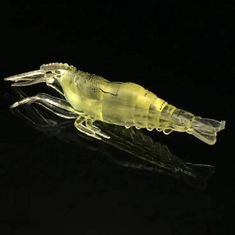 WEIHE 20PCS Isca Artificial So - Krill Oil Supplement 评论和价格