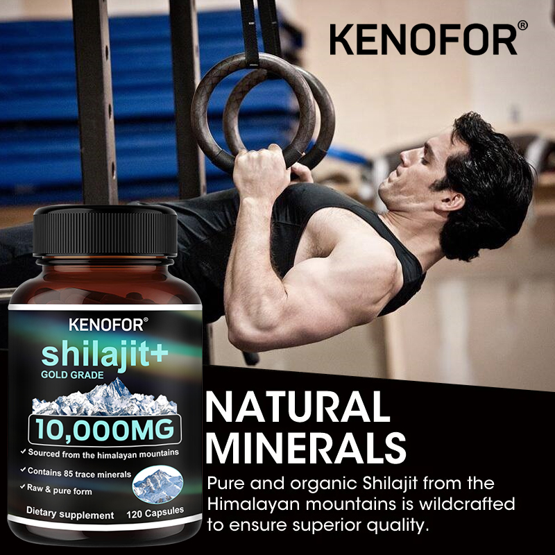 Himalayan Shilajit Capsules 10 - Shilajit Resin Pure 评论和价格