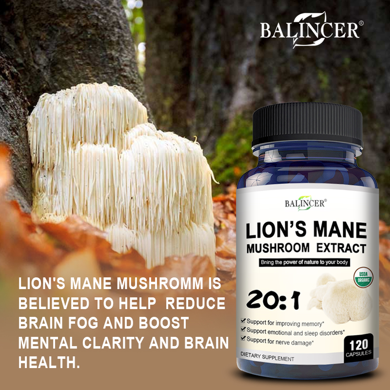 Lion's Mane - Nootropic Brain  - Lion Mane Mushroom 评论和价格