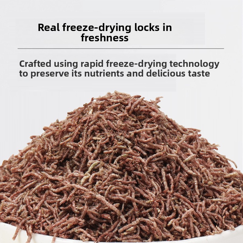 DONGYUJIANG Freeze-Dried Blood - Krill Oil Supplement 评论和价格