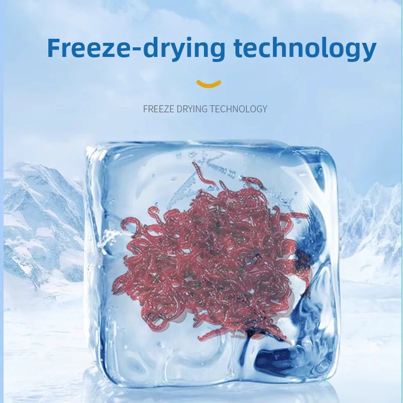 DONGYUJIANG Freeze-Dried Blood - Krill Oil Supplement 评论和价格